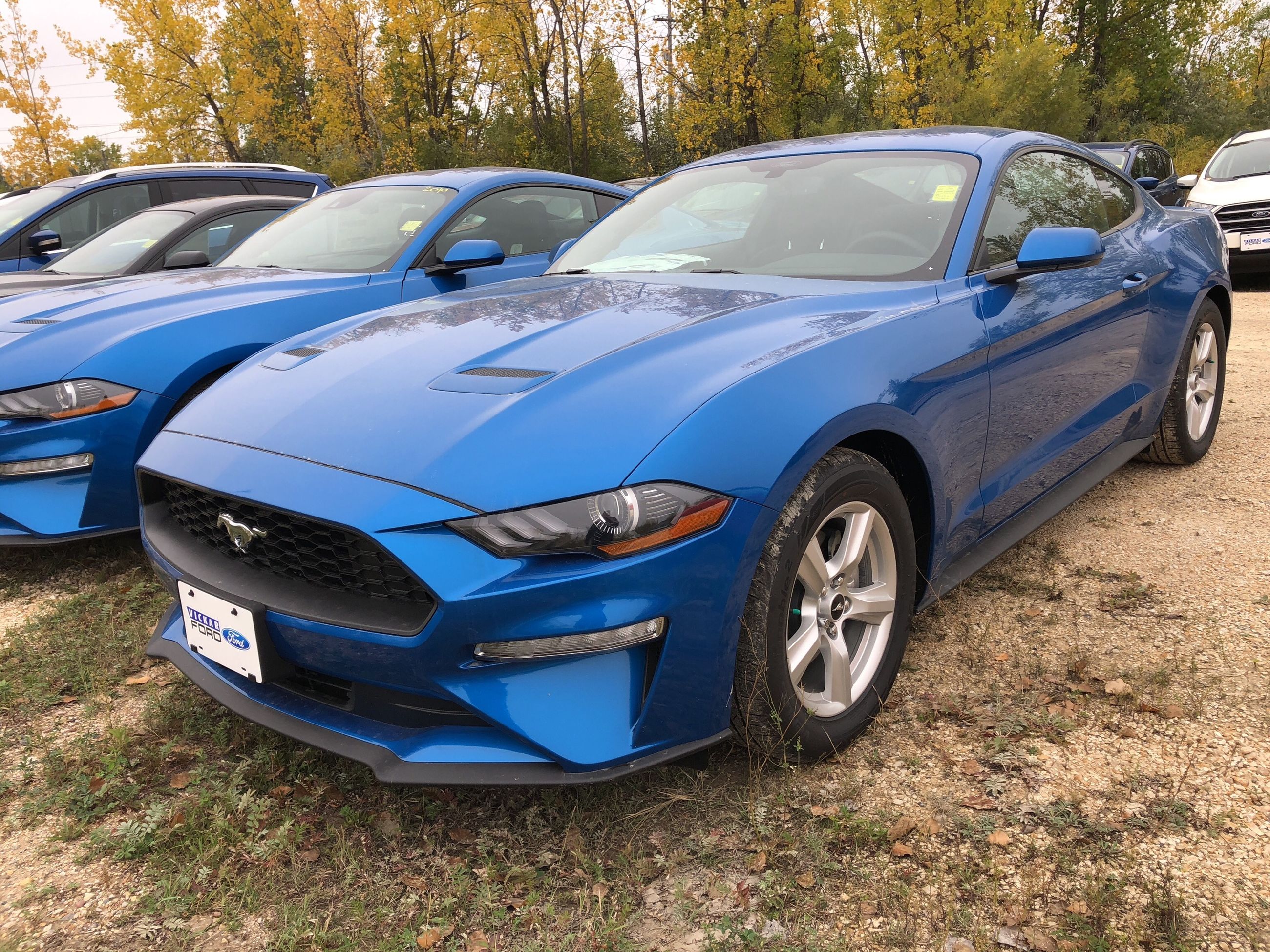 New 2019 Ford Mustang Velocity Blue For Sale 3167975 19c0920