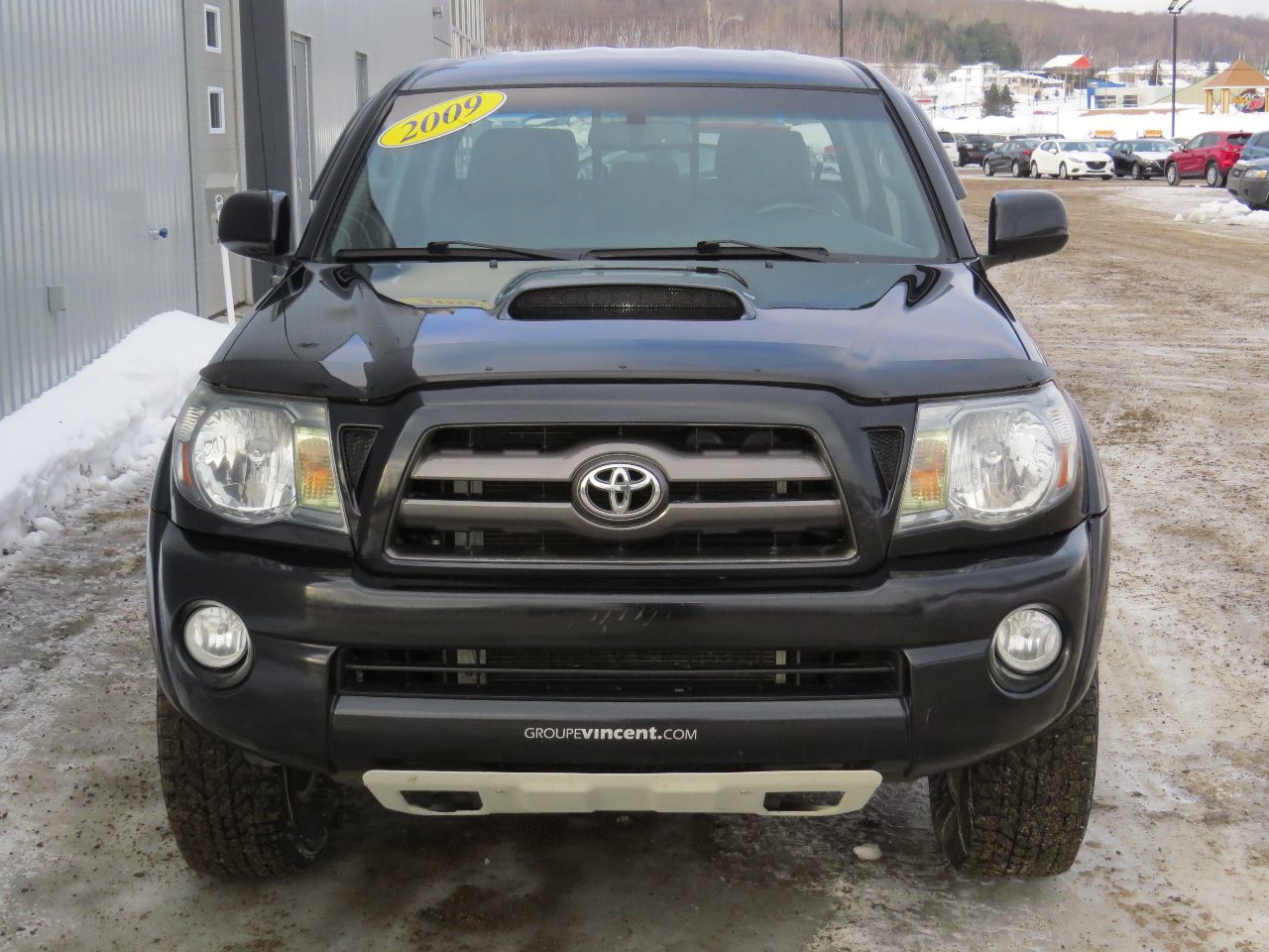 2009 Toyota tacoma trd pictures