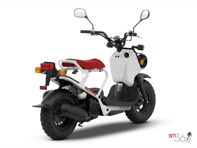Honda ruckus scooter wiki #5
