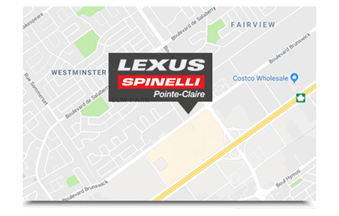 Spinelli Lexus Spinelli Lexus