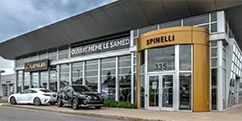 Spinelli Lexus Spinelli Lexus