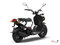 Honda RUCKUS RUCKUS 2012