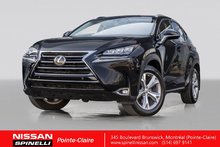 2015 Lexus NX 200t Executive