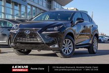 2019 Lexus NX NX 300