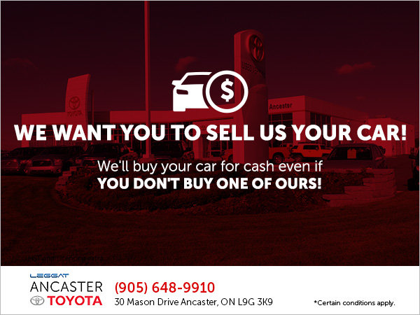 We'll Buy Your Car for CASH!