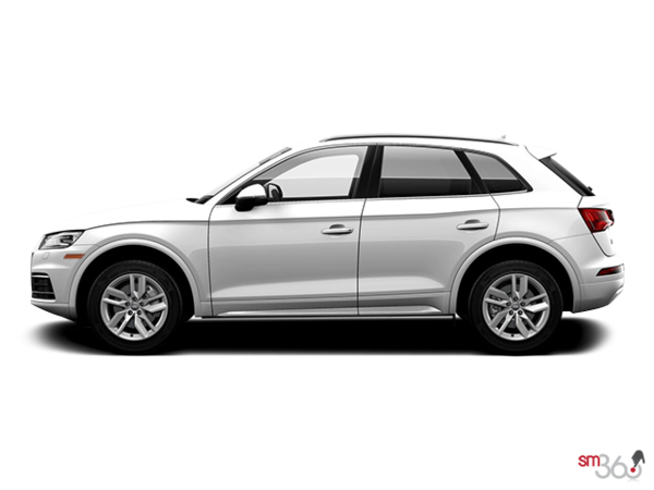 Audi Q5 Glacier White Vs Ibis White