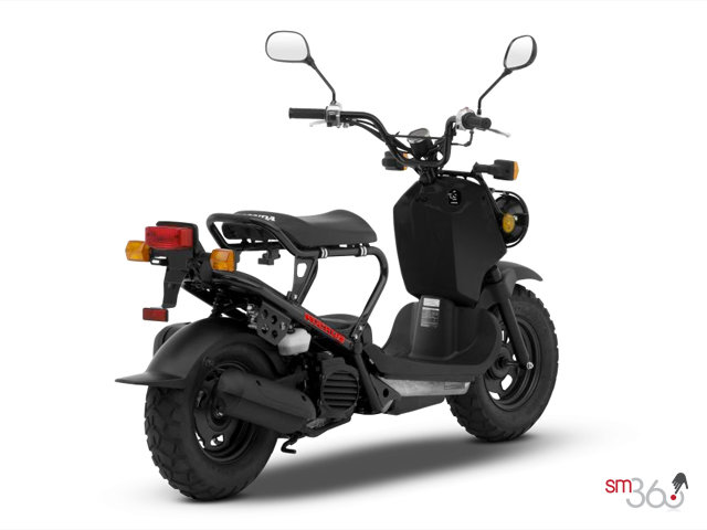 Honda RUCKUS RUCKUS 2012