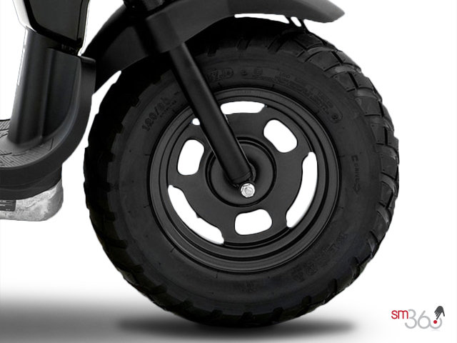 Honda RUCKUS RUCKUS 2012