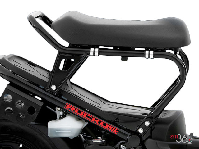 Honda RUCKUS RUCKUS 2012