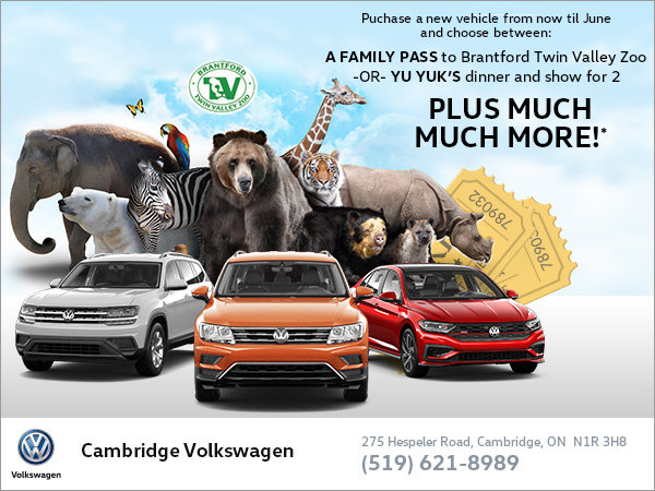 Spring New Car Offer