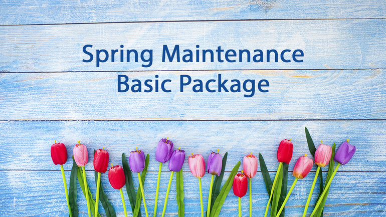 Spring Maintenance - Basic Package